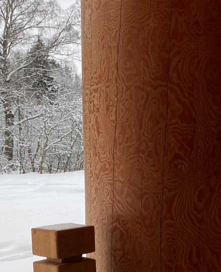 Wooden house made of Siberian cedar carriage (WINTER)